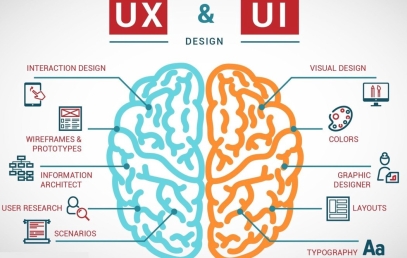 Hacer un contenido por día